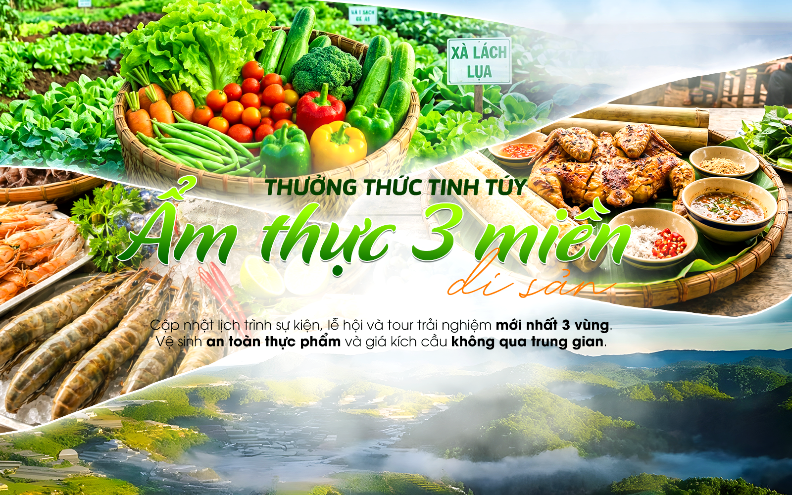 Banner Trang chủ 3