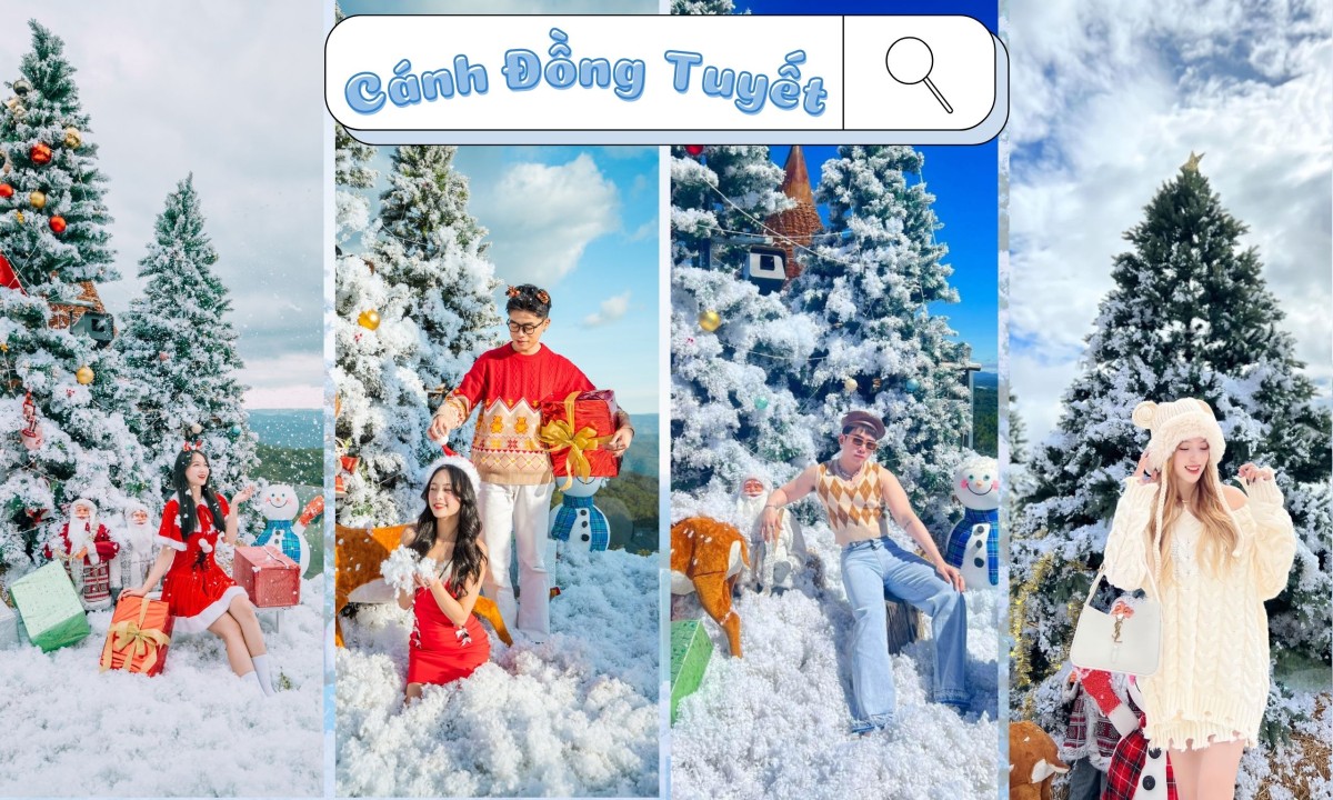 Cánh Đồng Tuyết – Tọa Độ Check In Siêu Hot Đà Lạt